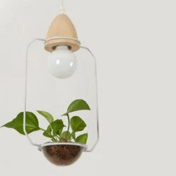 Suspension LED Art Déco Avec Des Plantes Mira 16 Suspension LED Art Déco Avec Des Plantes Mira -Lumeers Boutique 39d5f939 51cf 473b 95e6 682edf3bbeb6