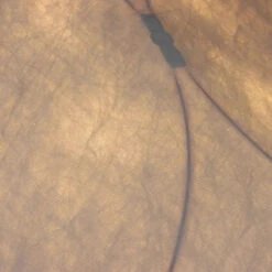 Plafonnier Design Minimaliste Pour Décoration Murale Moderne -Lumeers Boutique A18e501ac6cdc4102b4affbd0d7e1bd62K