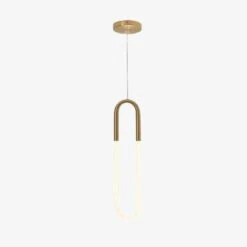 Suspension Design Moderne LED En Anneau Allongé Hang