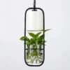 Suspension Moderne En Cage Avec Abat-jour En Verre Et Fer -Lumeers Boutique S4b2d17aabfe24d658fea05d46f3af2f69