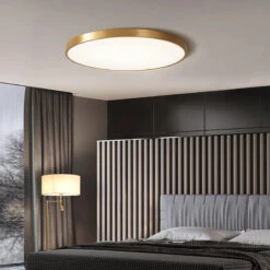 Plafonnier Led Minimaliste à Télécommande En Laiton Doré 14 Plafonnier Led Minimaliste à Télécommande En Laiton Doré -Lumeers Boutique S52901ae6f70a4501a526a329e6a90bdcb