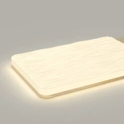 Plafonnier Led Moderne Créatif Pour Un Intérieur élégant 17 Plafonnier Led Moderne Créatif Pour Un Intérieur élégant -Lumeers Boutique S812ab9a7d85d493f9020c5812cb7d641Y