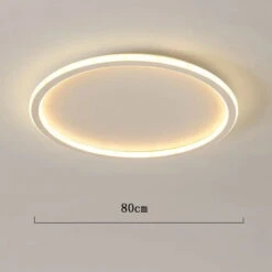 Plafonnier Led Ultra-mince Nordique Moderne Minimaliste -Lumeers Boutique Sa43d7f687a574e718092cc40bd620989J