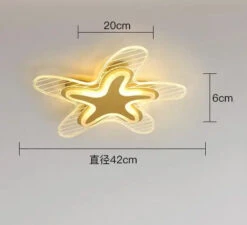 Plafonnier étoile Led Pour Décoration Et éclairage Intérieur -Lumeers Boutique Sb2f0ae11726a482bb2df774f8d204d4fS