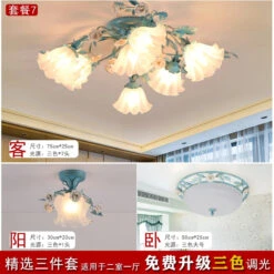 Plafonnier Rétro En Céramique Fleurs Et Plantes Lumineuses -Lumeers Boutique Sf0f1d40346e4464f8e9e28b1b0be57efj