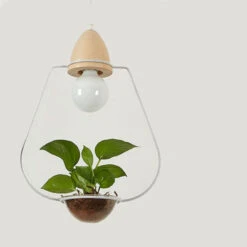 Suspension LED Art Déco Avec Des Plantes Mira 14 Suspension LED Art Déco Avec Des Plantes Mira -Lumeers Boutique fafe1e88 4d09 4f05 854d b63351c019fb