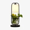 Lampe à Poser LED Avec Abat-jour Et Plante 2 Lampe à Poser LED Avec Abat-jour Et Plante -Lumeers Boutique lampe a poser led avec abat jour et plante d886fa5d 0b54 4929 95be efa743884998