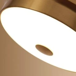 Plafonnier Design à LED Rond En Métal Aux Bords épais -Lumeers Boutique product image 1634363128 d2d4e715 493a 4cf6 935d 409a5d55d474