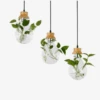Suspension Bocal En Verre à Fleur Et Support En Bois -Lumeers Boutique suspension bocal en verre a fleur et support en bois 1a49b2d7 0eb6 4eb3 a2ed d6e81dc2307e